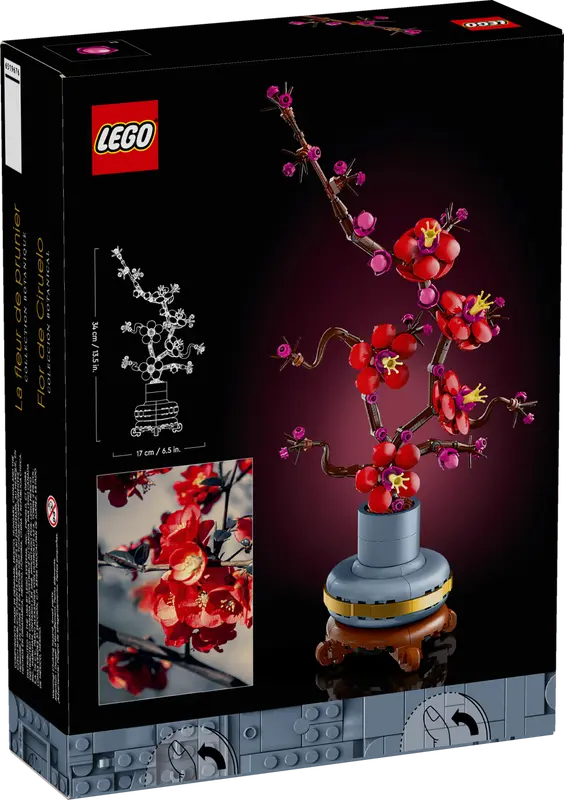 Plum Blossom 10369