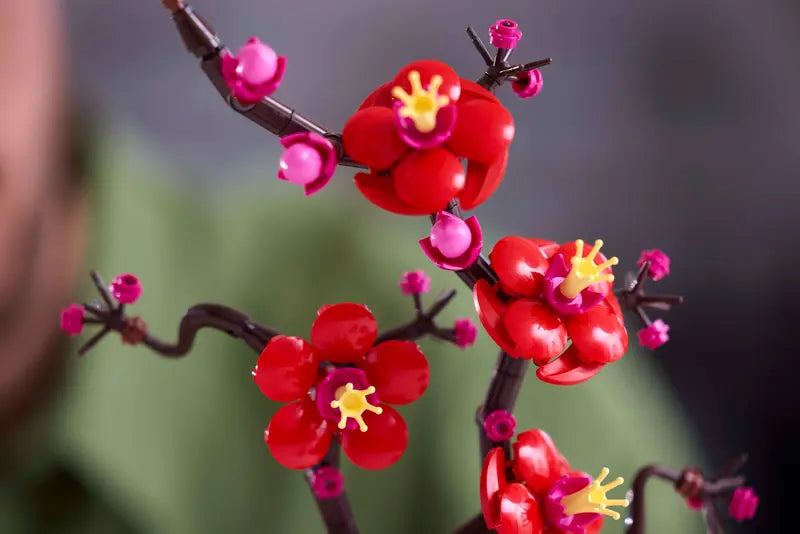 Plum Blossom 10369
