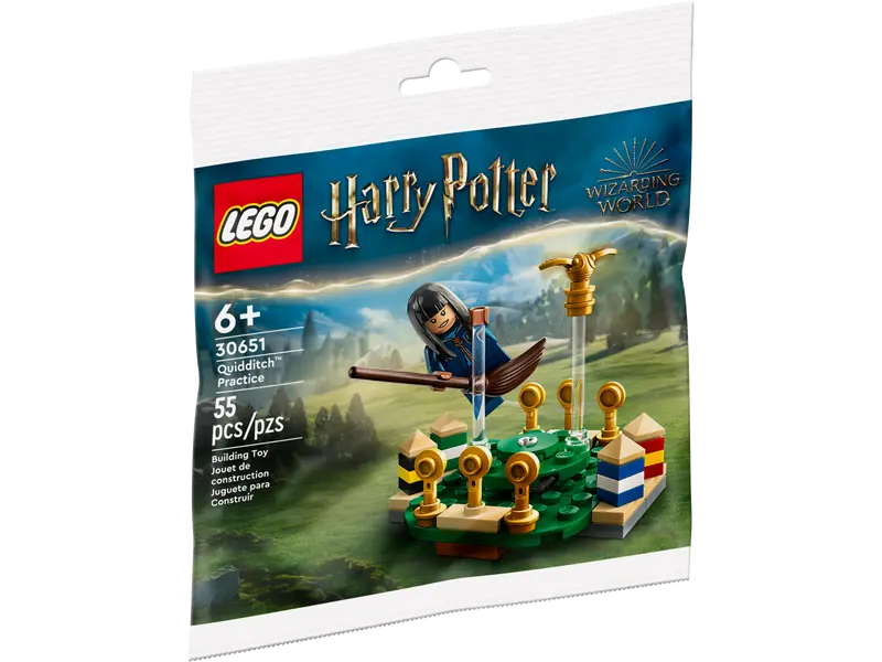 Quidditch Practice 30651