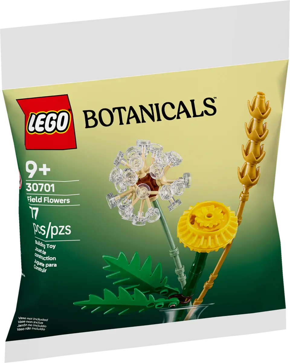 Field Flowers 30701