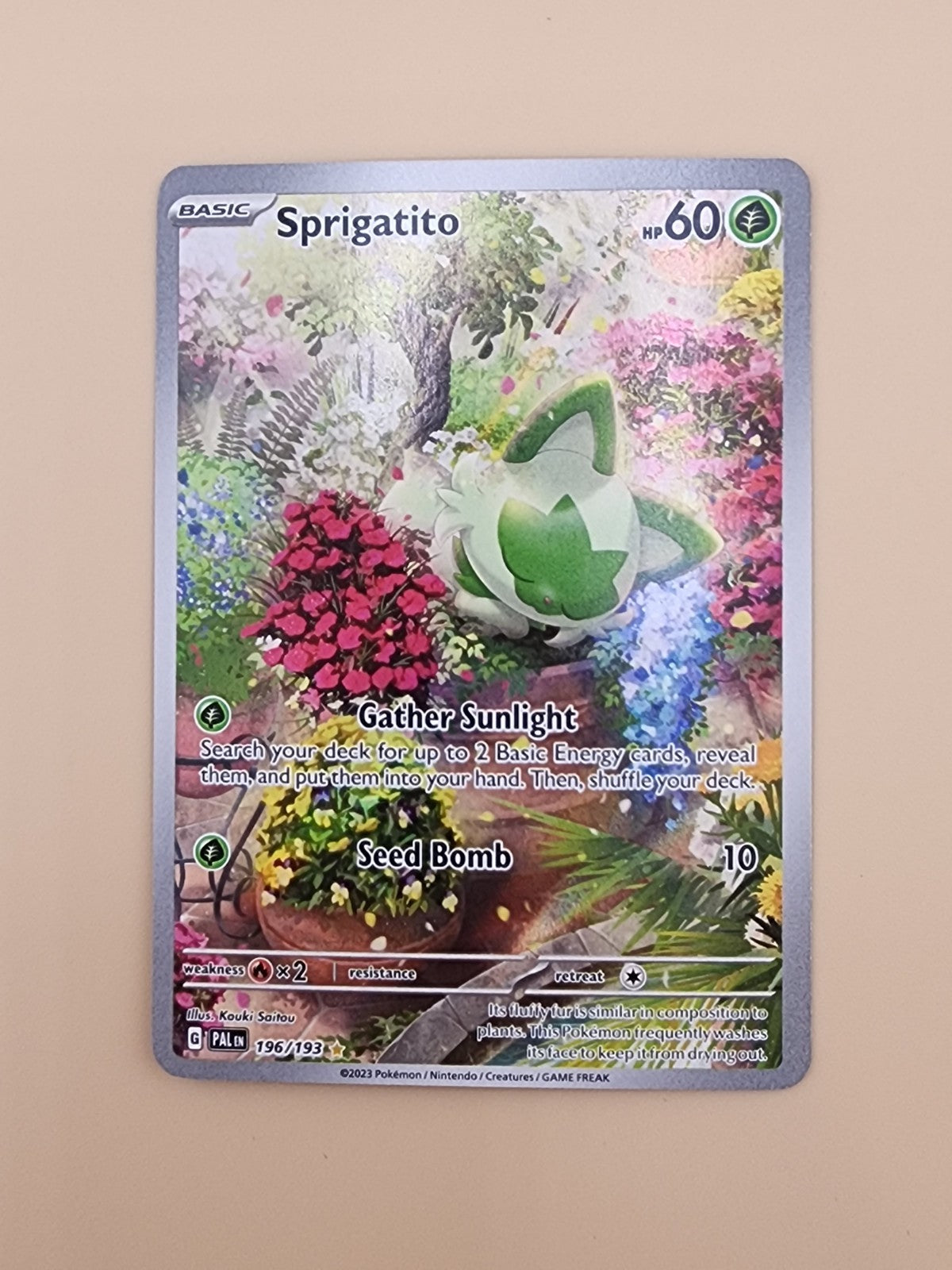 Sprigatito 196/193 Sv02: Paldea Evolved Holo LP+