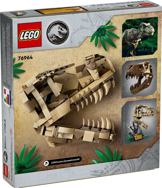 Dinosaur Fossils: T. Rex Skull 76964