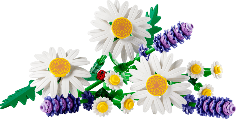 Daisies 11508