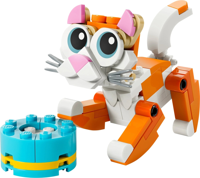 Orange Cat 30714