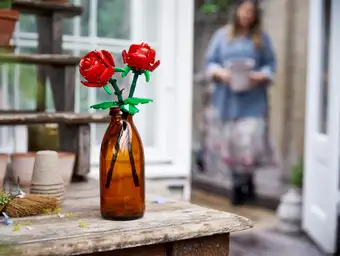 Roses 40460
