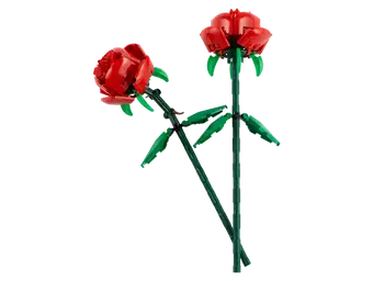 Roses 40460