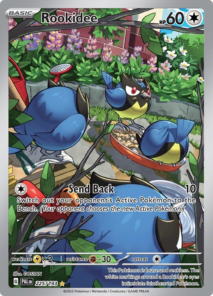 2023 POKEMON PAL EN-PALDEA EVOLVED 225 ROOKIDEE PSA 10
