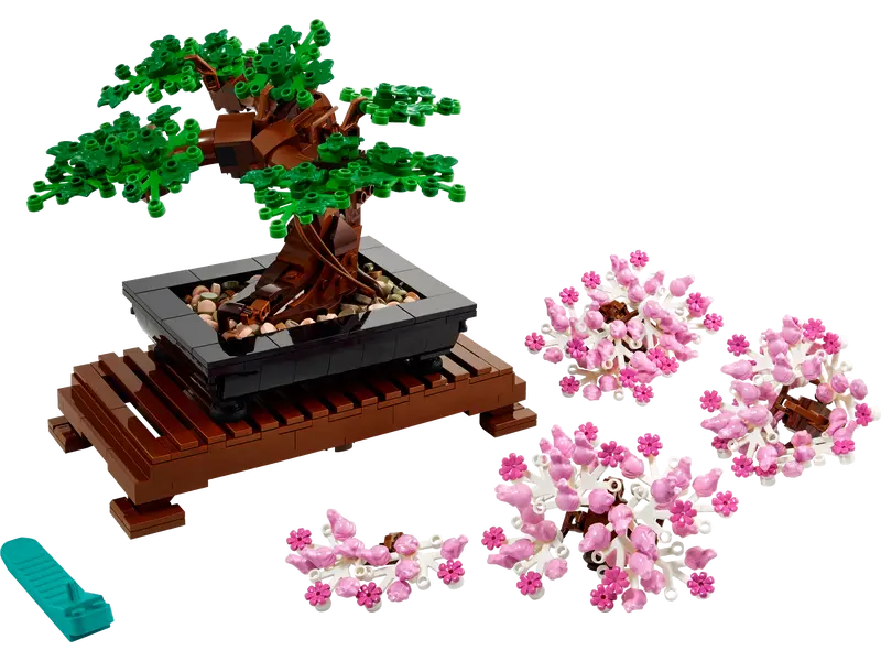 Bonsai Tree 10281