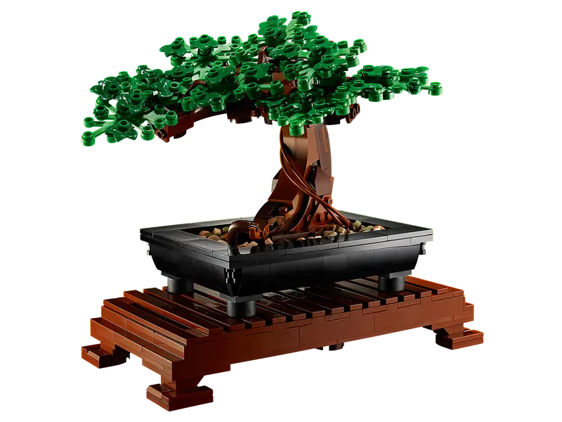 Bonsai Tree 10281