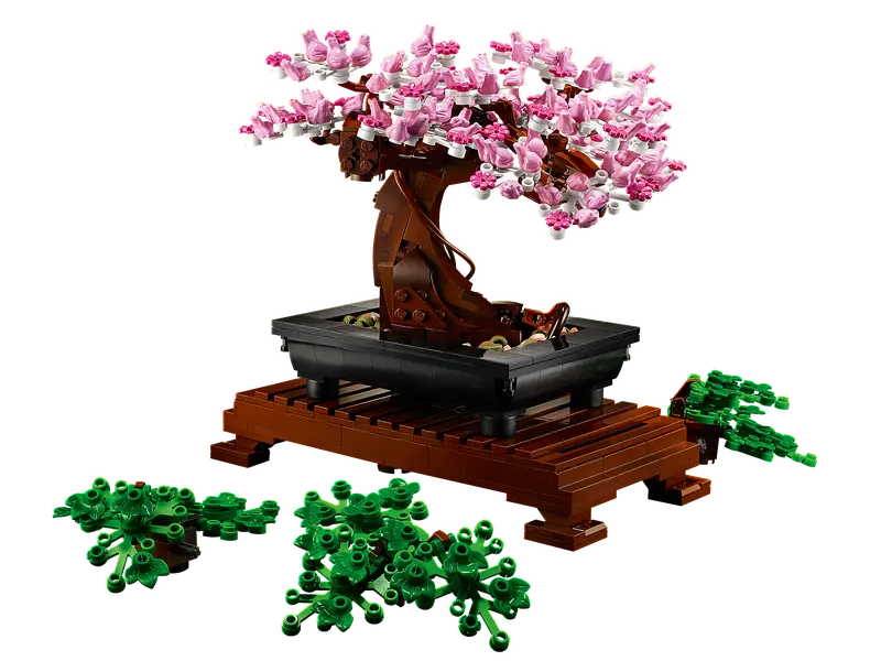 Bonsai Tree 10281