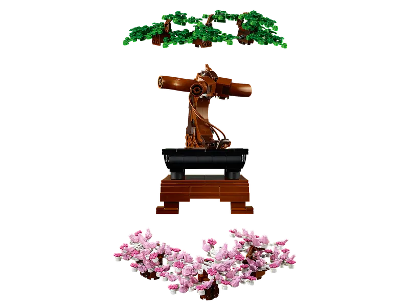 Bonsai Tree 10281