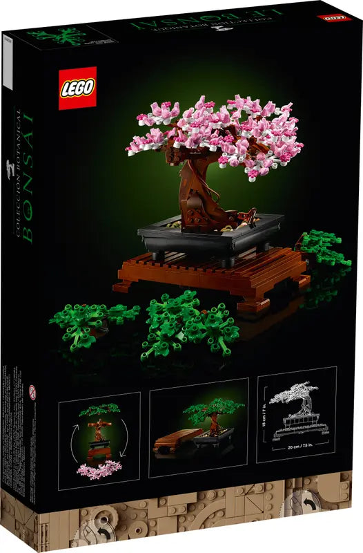 Bonsai Tree 10281