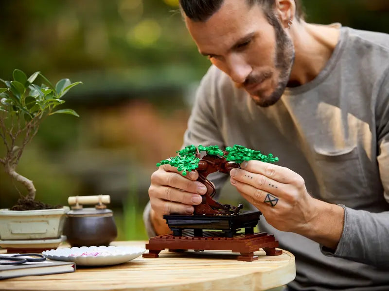 Bonsai Tree 10281