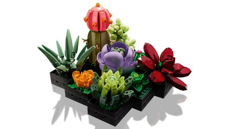 Succulents 10309