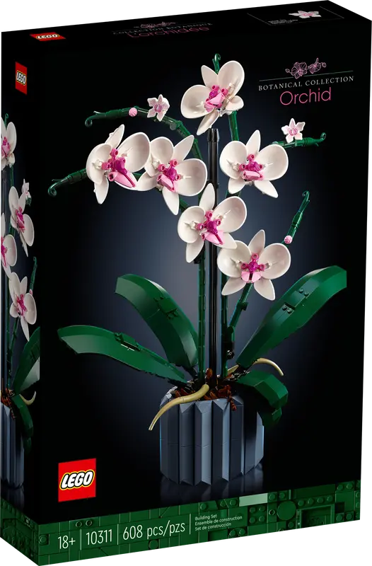 Orchid 10311