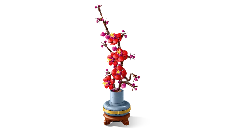 Plum Blossom 10369