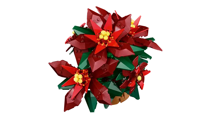 Poinsettia 10370