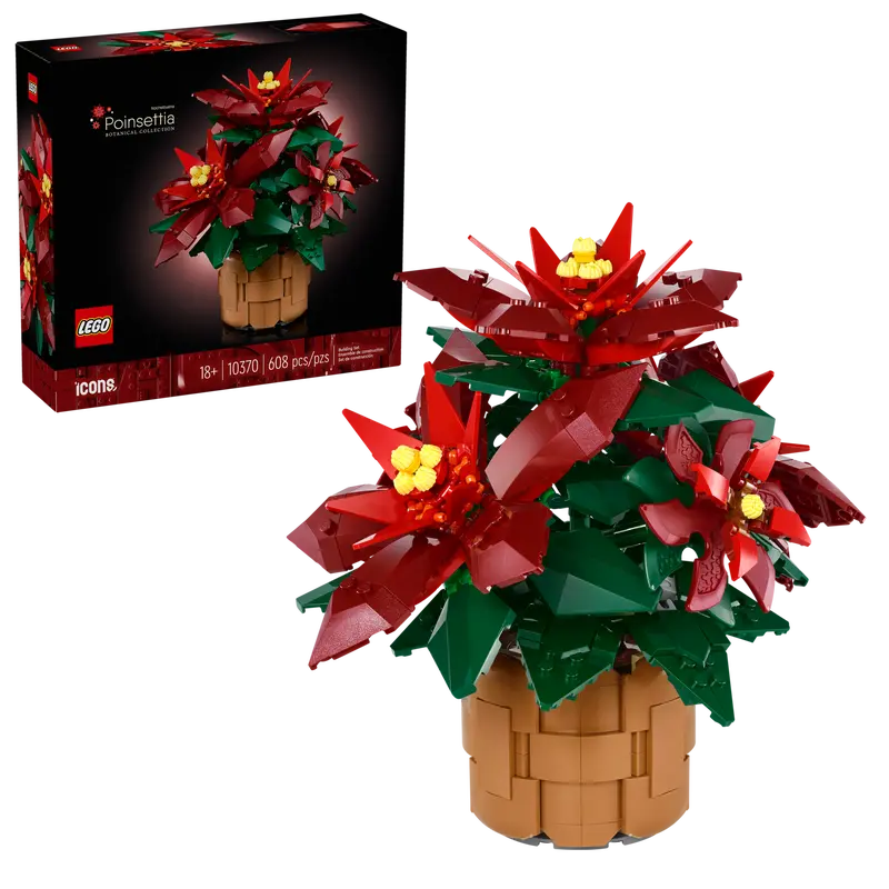 Poinsettia 10370