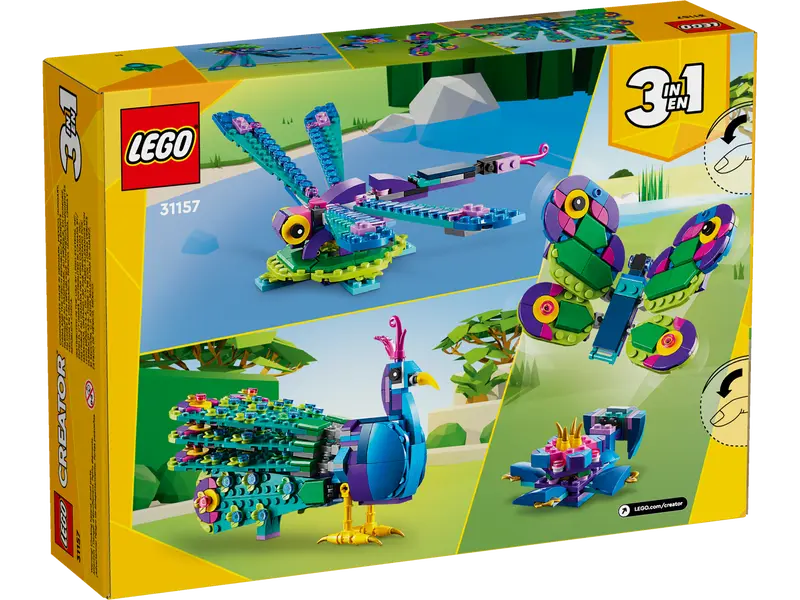 Exotic Peacock 31157