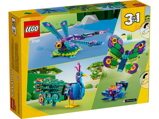 Exotic Peacock 31157