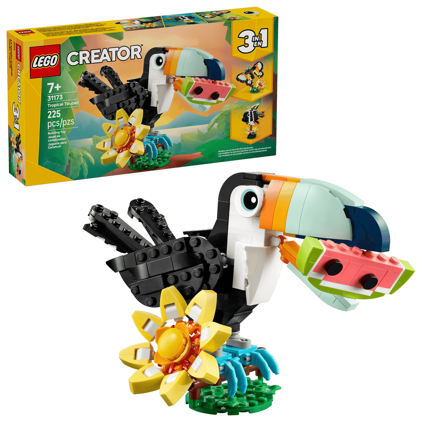 Tropical Toucan 31173