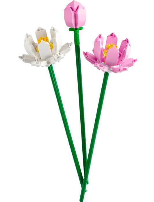 Lotus Flowers 40647