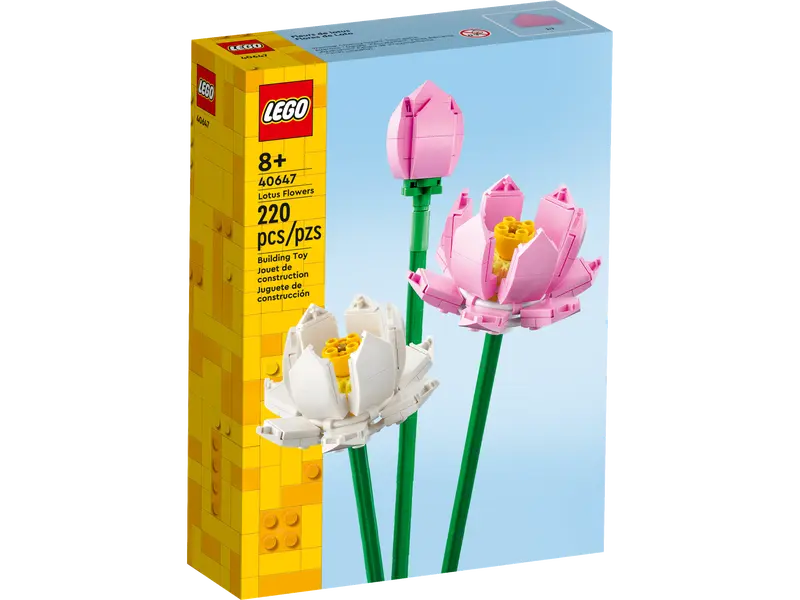 Lotus Flowers 40647