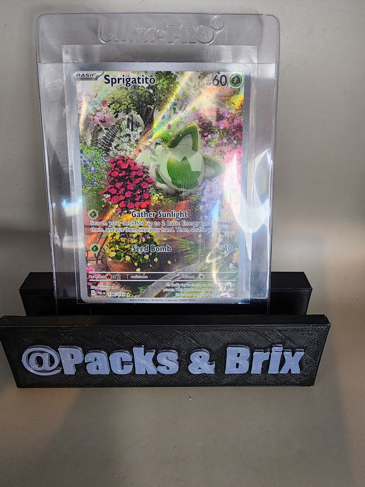 Sprigatito 196/193 Sv02: Paldea Evolved Holo NM