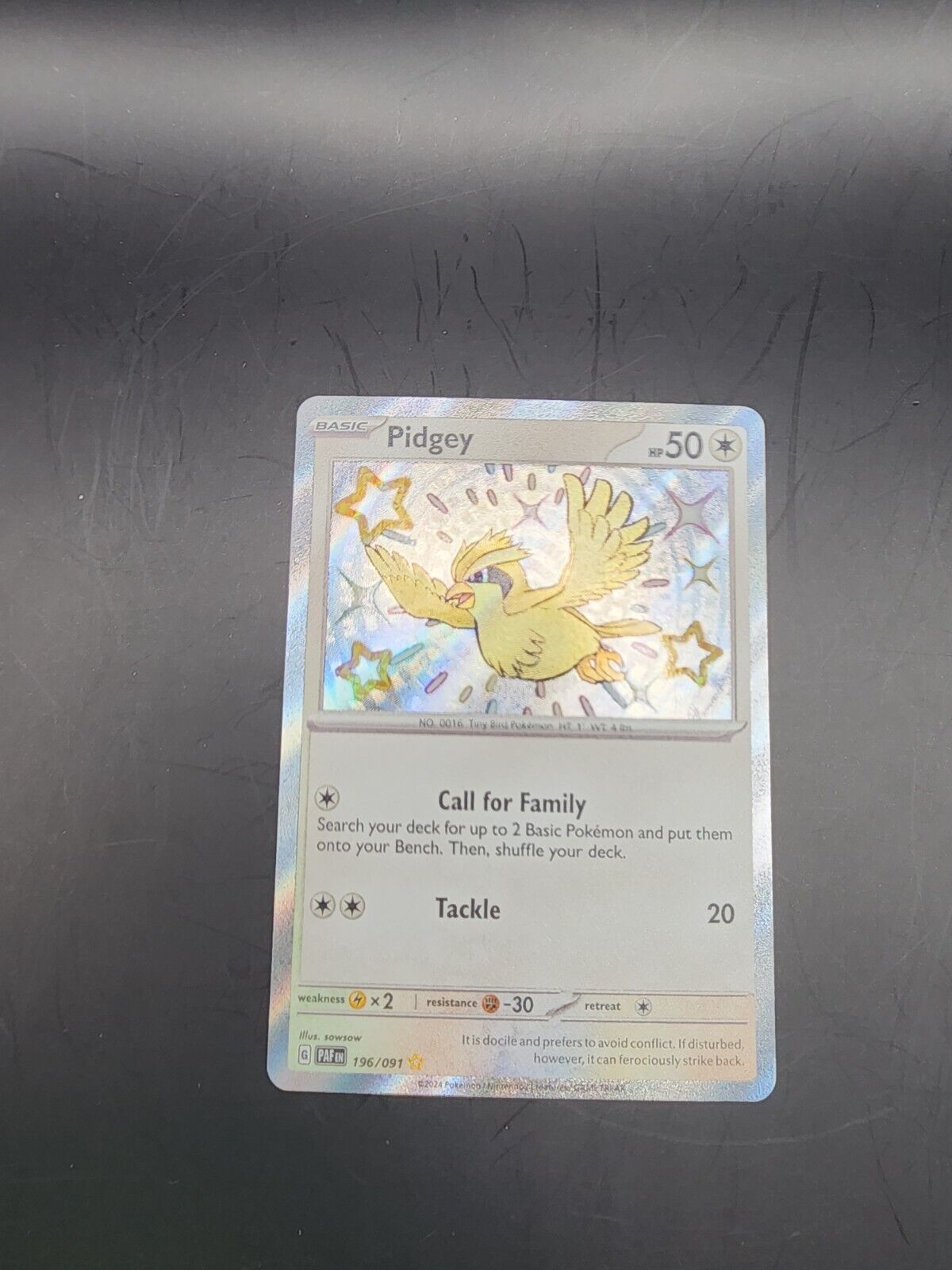 Pokemon Pidgey 196/091 Paldean Fates Shiny Rare 2024 NM