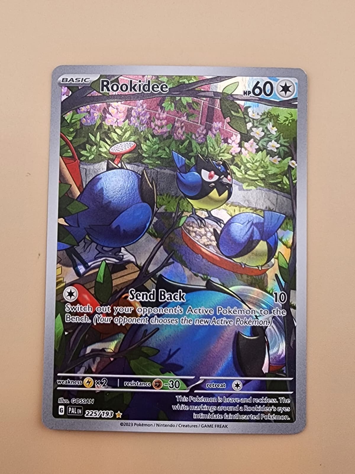 Rookidee 225/193 Sv02: Paldea Evolved Holo Near Mint (NM)