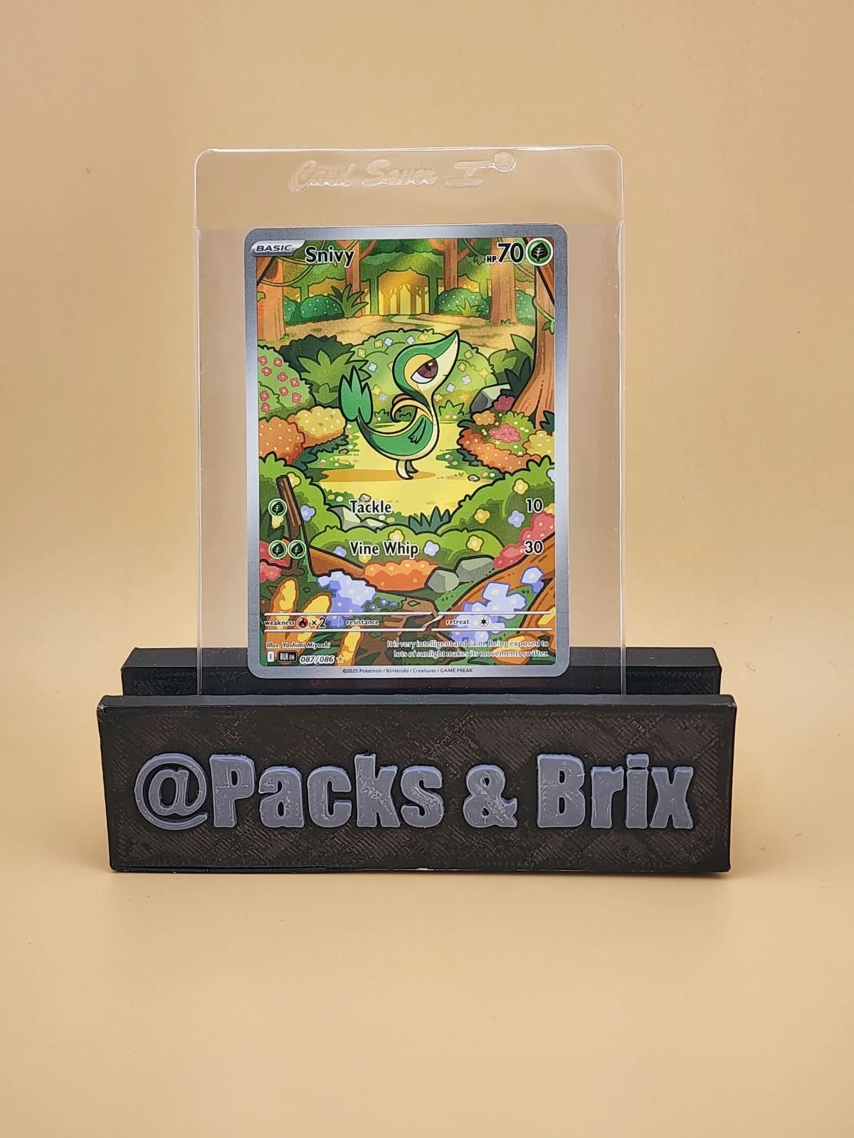 Snivy 087/086 Sv: Black Bolt Holo Near Mint NM