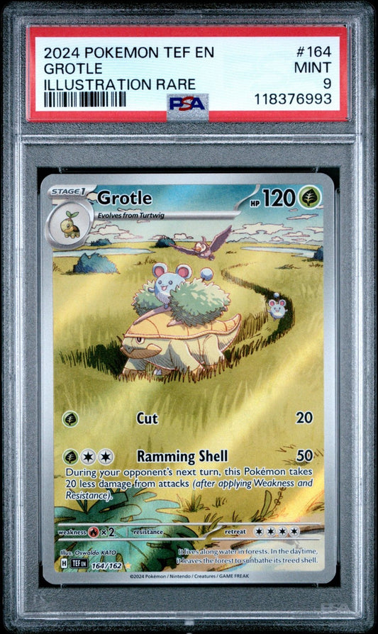 2024 POKEMON TEF EN-TEMPORAL FORCES ILLUSTRATION RARE #164 GROTLE PSA 9