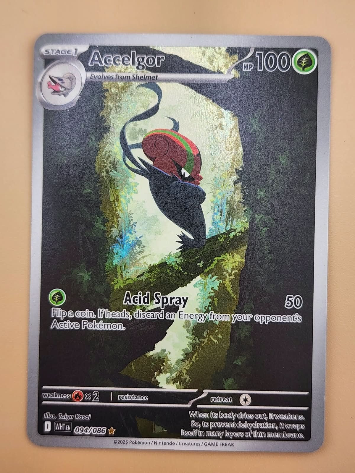 Pokemon 2025 Scarlet & Violet White Flare Accelgor #94/86 Near Mint NM