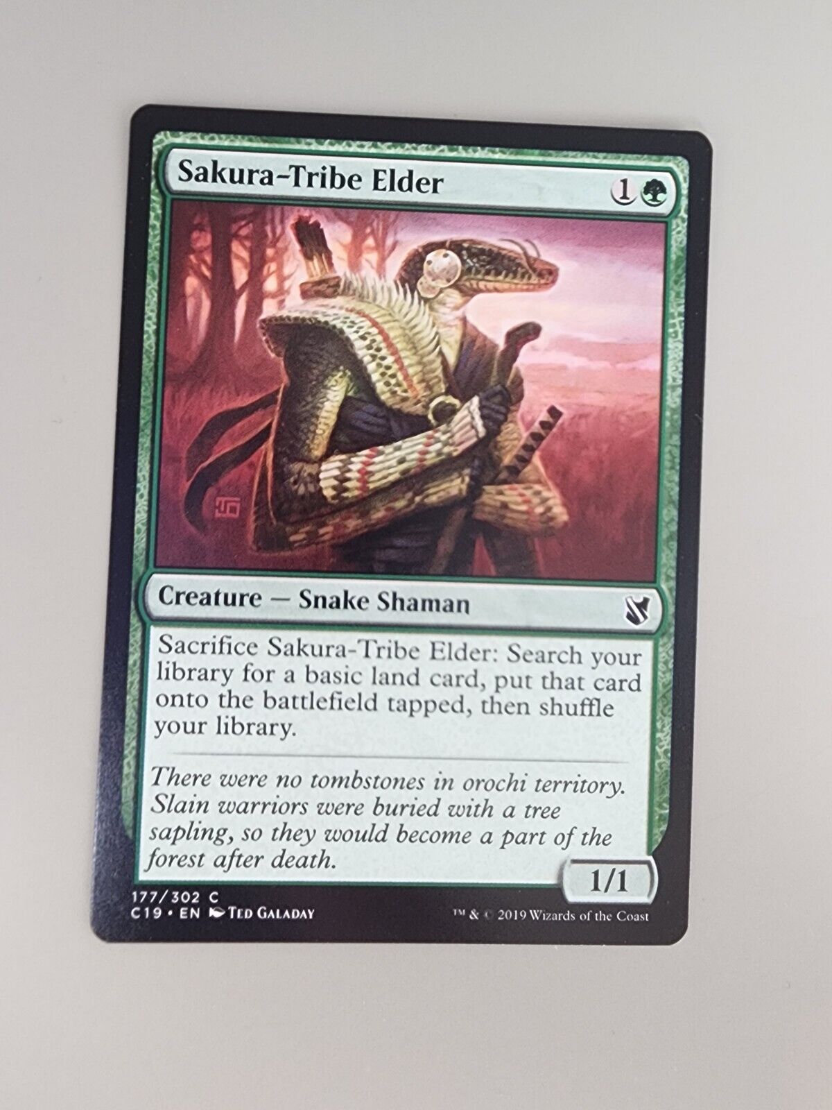 MTG Sakura-Tribe Elder Commander 2019 177/302 Regular Common