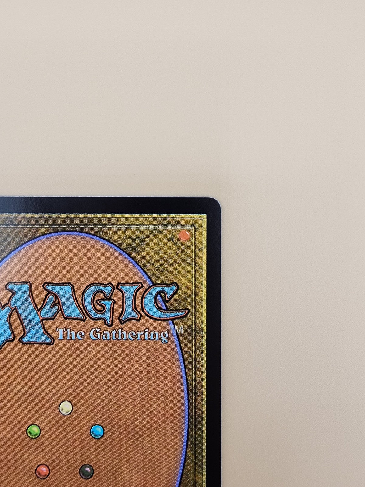 Hedge Maze - MKM 0262 MTG Magic The Gathering LP