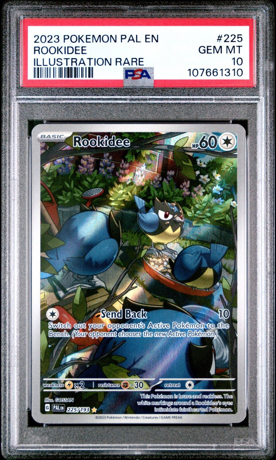 2023 POKEMON PAL EN-PALDEA EVOLVED 225 ROOKIDEE PSA 10