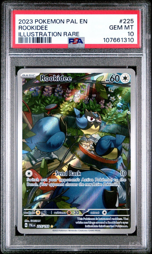 2023 POKEMON PAL EN-PALDEA EVOLVED 225 ROOKIDEE PSA 10