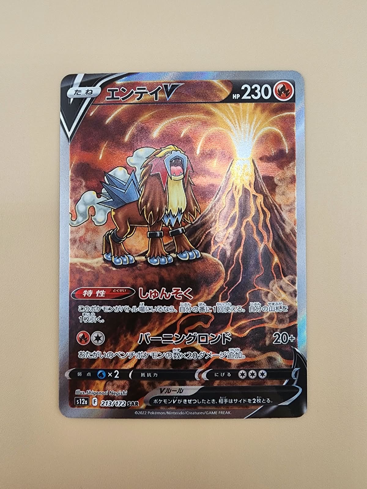 Entei V 213/172 S12a: Vstar Universe Holo (Japanese) Near MInt NM
