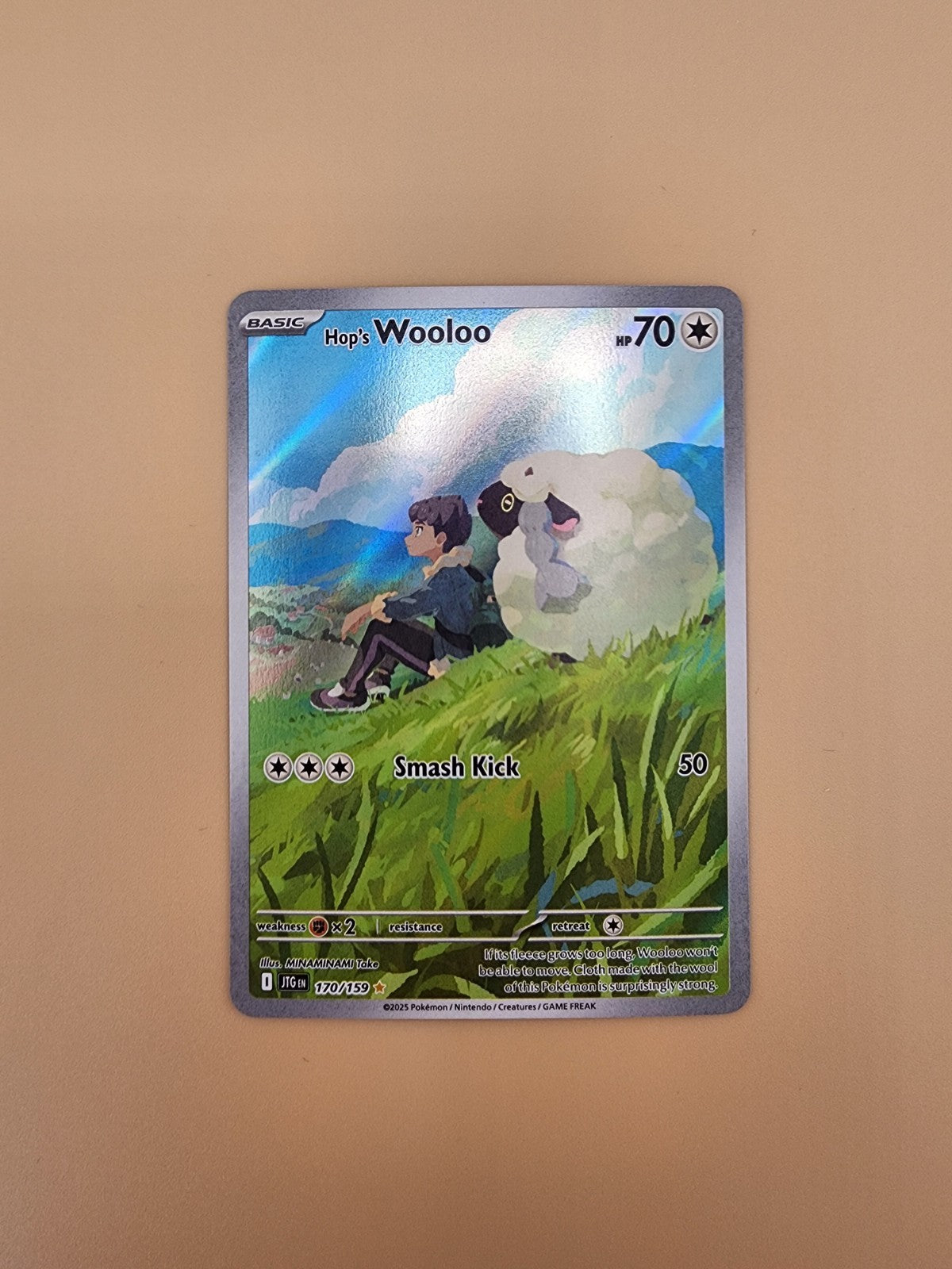 Hop's Wooloo 170/159 Sv09: Journey Together Holo NM