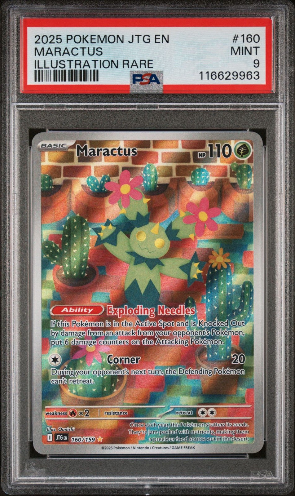 2025 POKEMON JTG EN-JOURNEY TOGETHER ILLUSTRATION RARE #160 MARACTUS PSA 9