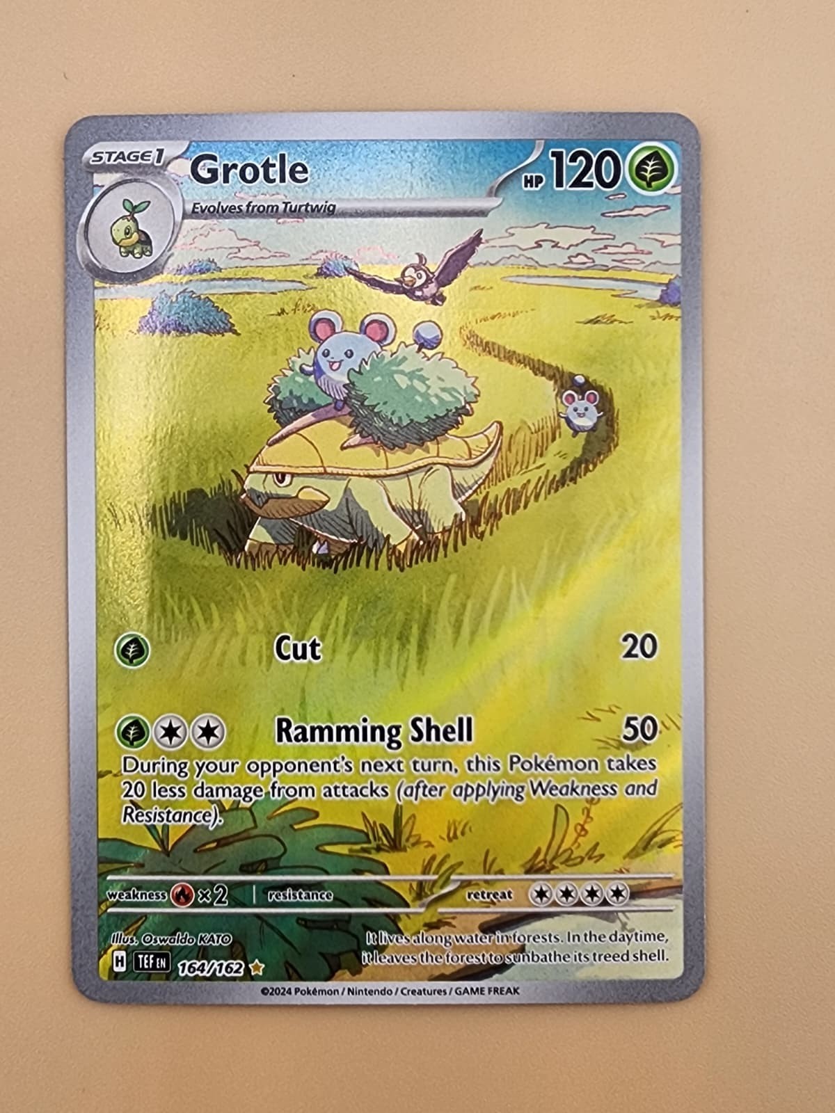 Grotle 164/162 SV05: Temporal Forces Holo Near Mint NM