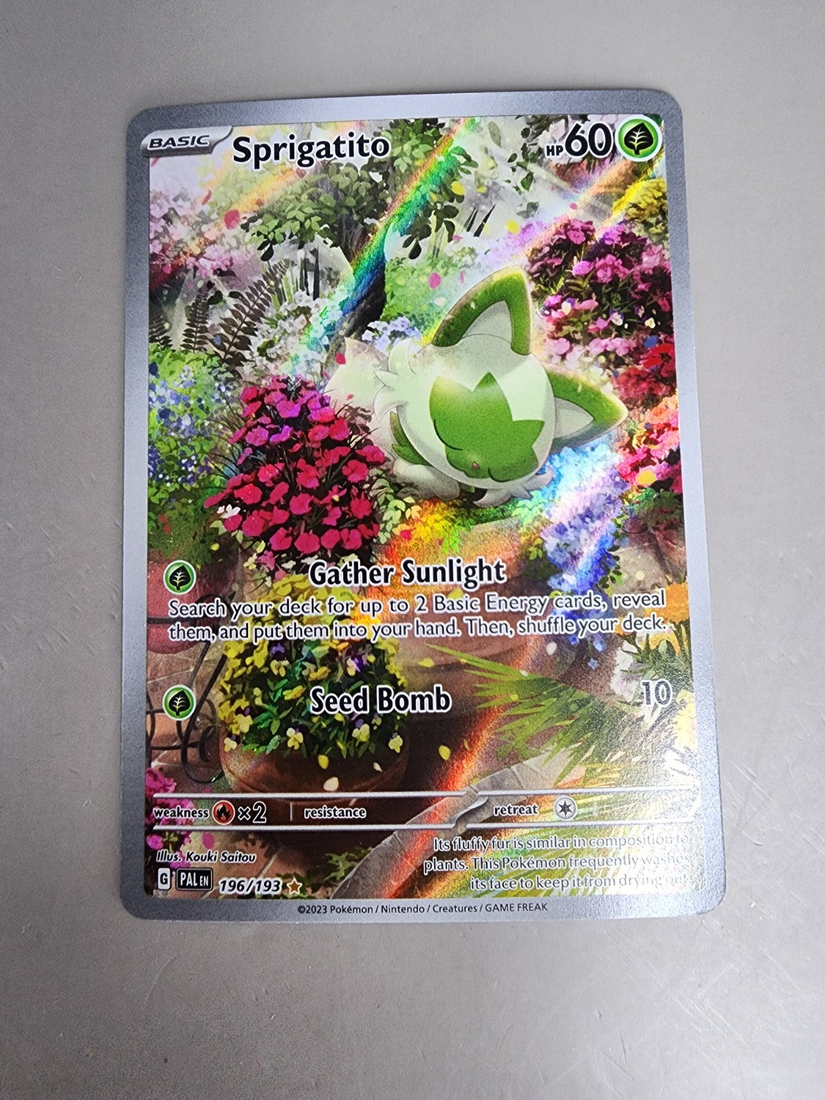 Sprigatito 196/193 Sv02: Paldea Evolved Holo NM