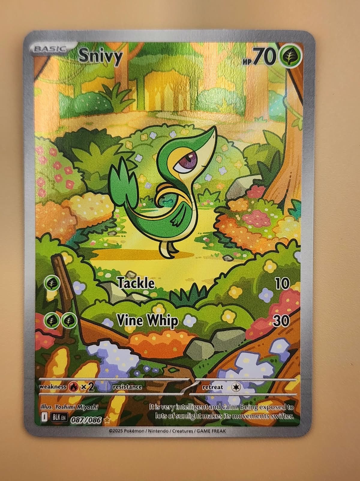 Snivy 087/086 Sv: Black Bolt Holo Near Mint NM