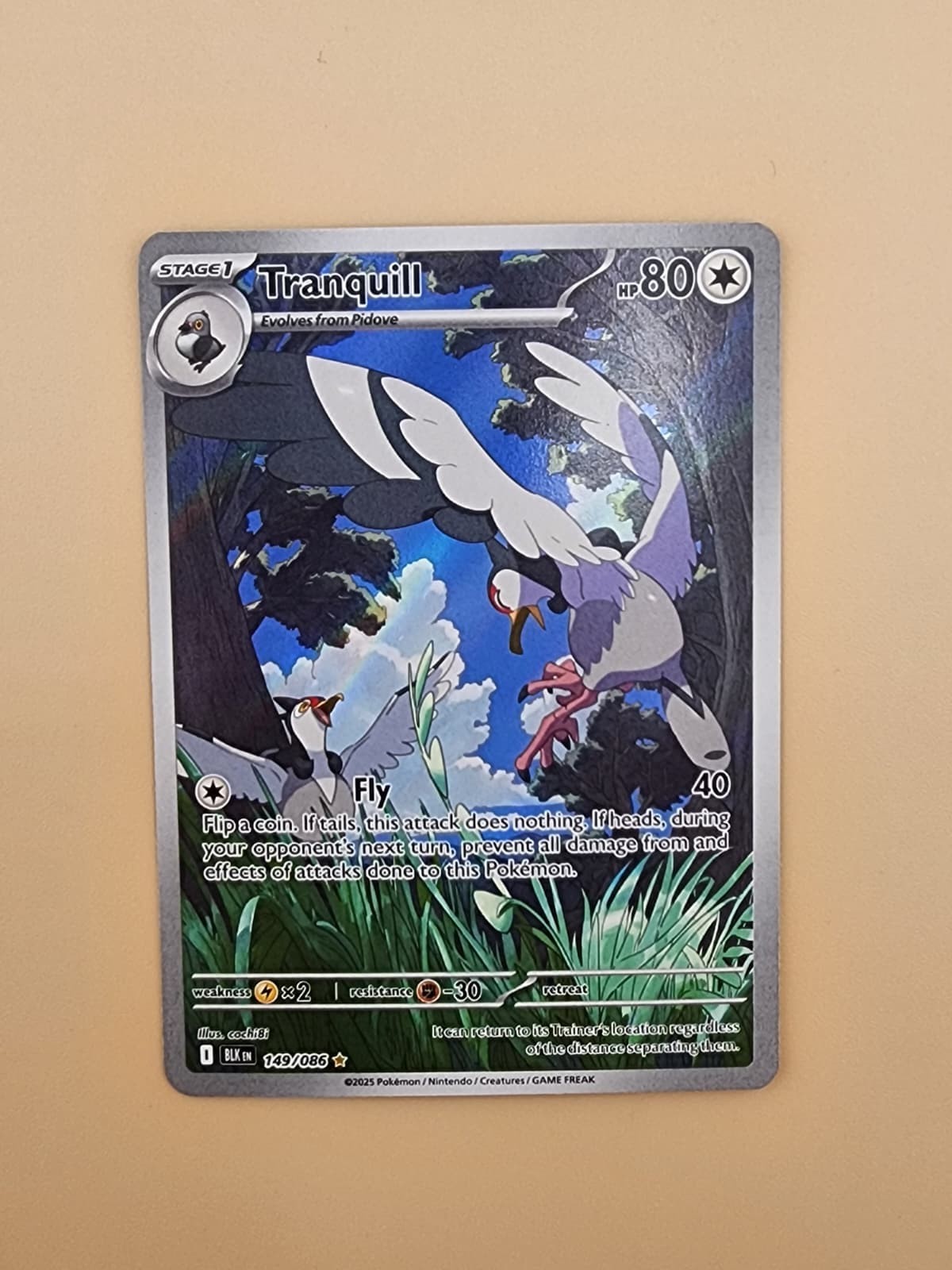 Tranquill 149/086 Sv: Black Bolt Holo Near Mint NM