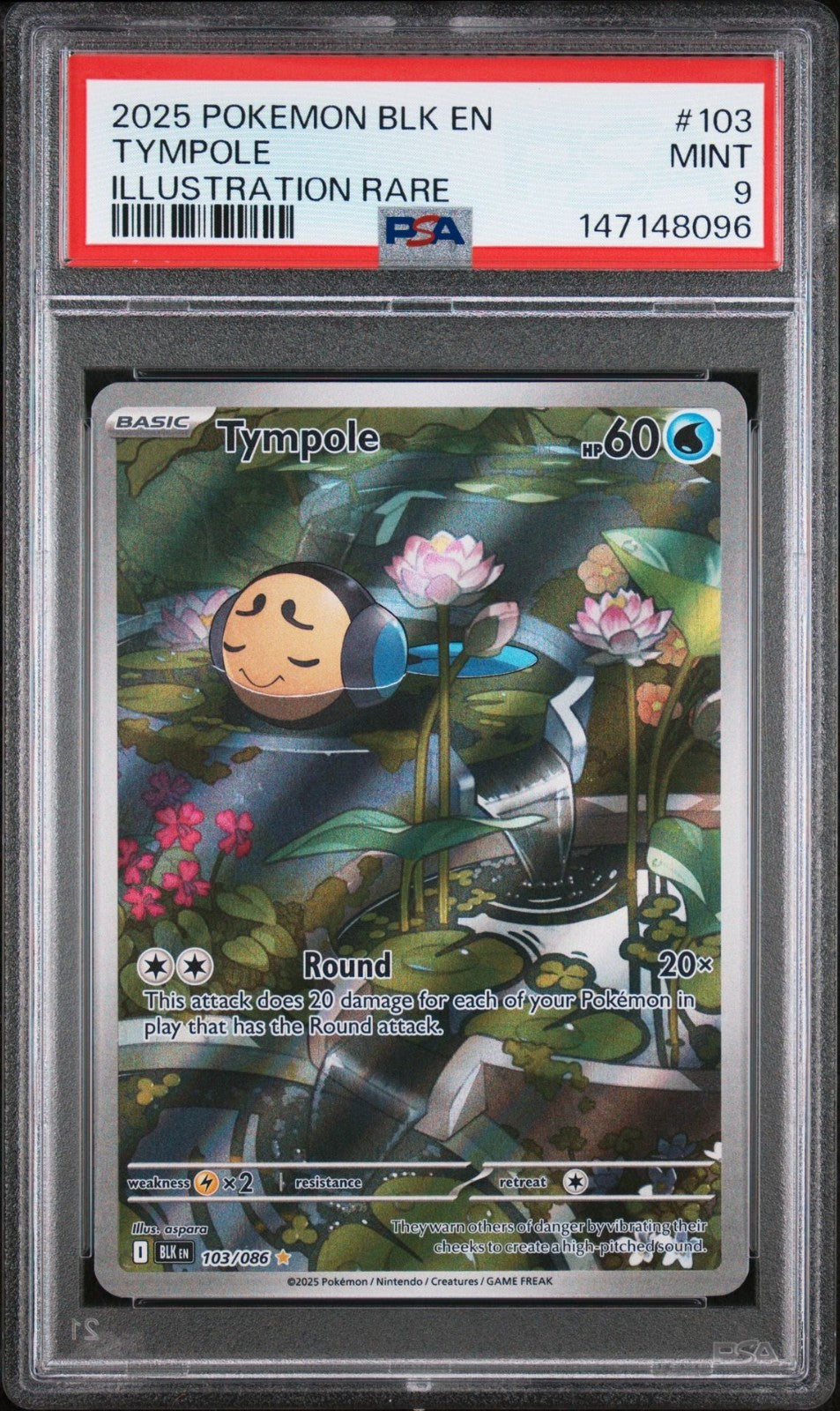 Pokemon TCG Tympole 103/086 Sv: Black Bolt Holo Illustration Rare PSA 9