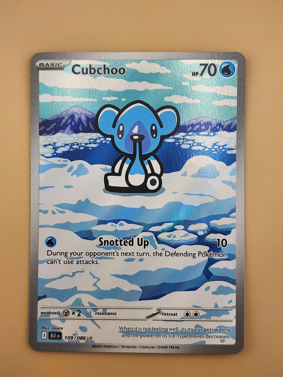 Cubchoo 109/086 Sv: Black Bolt Holo Near Mint NM