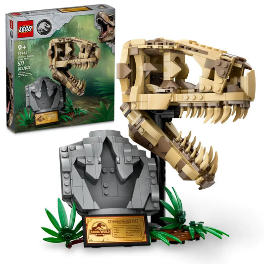 Dinosaur Fossils: T. Rex Skull 76964