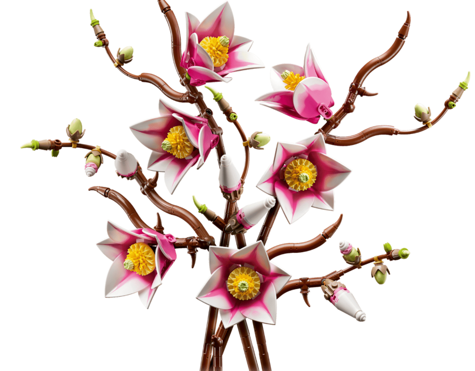 Magnolia Branches 11510