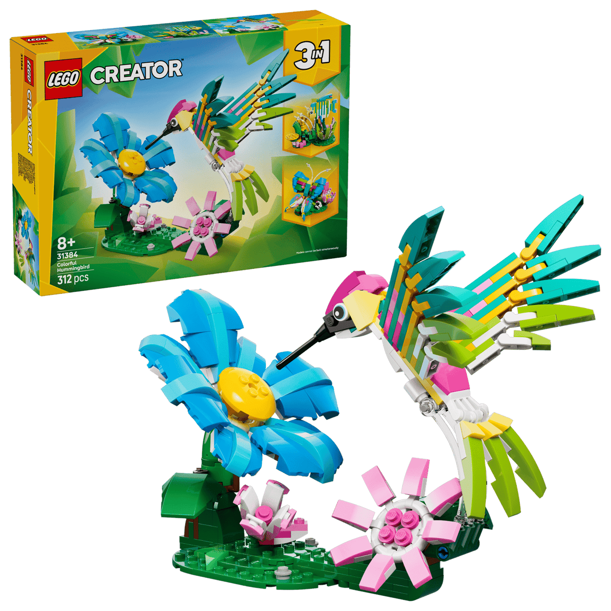 Colorful Hummingbird 31384
