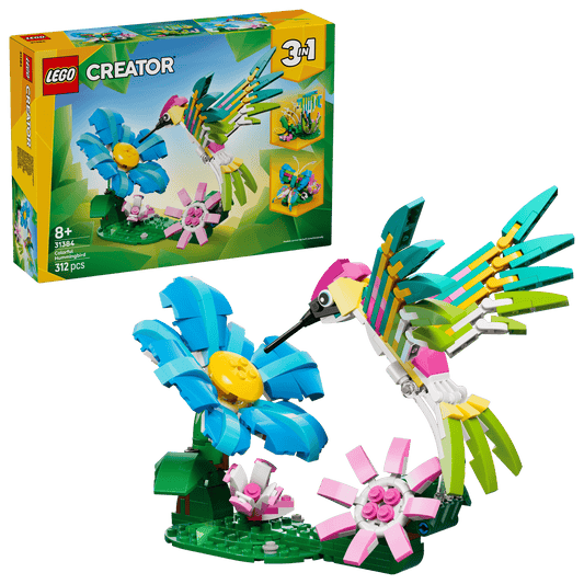 Colorful Hummingbird 31384